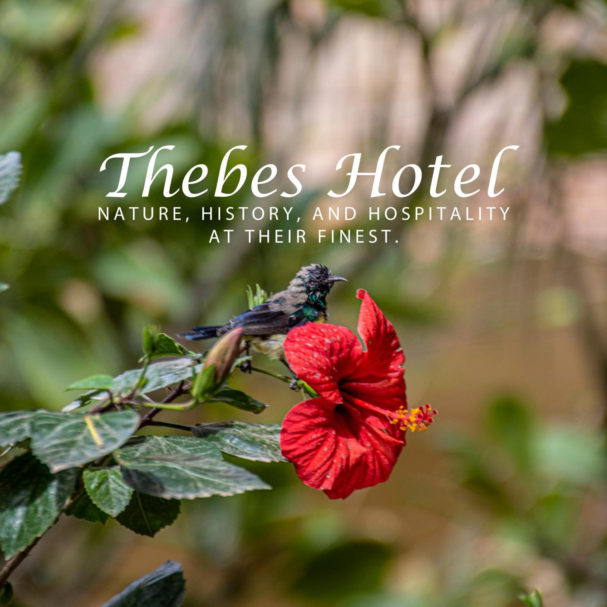 Thebes Hotel 룩소르 외부 사진